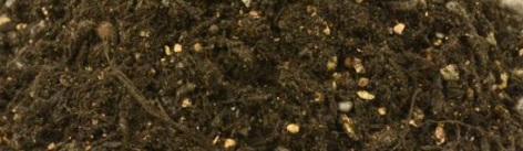 ひと手間加えた薔薇の喜ぶ土作りを紹介 明日は明日の薔薇が咲く