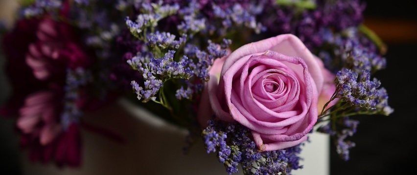 紫色の薔薇