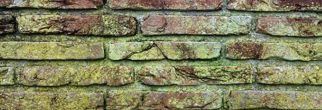 苔の生えたブロック塀